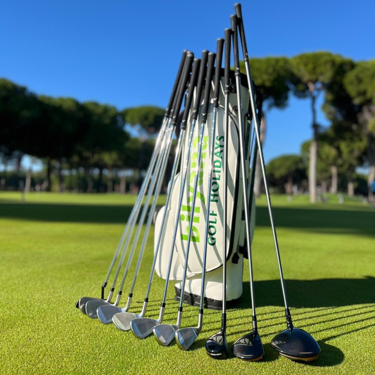 https://ftp.bilyanagolf.fr/files/imaj/clubhire1.jpg