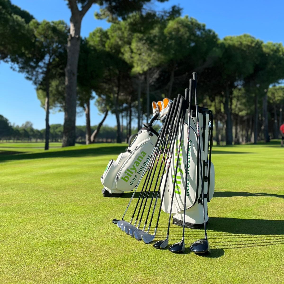 https://ftp.bilyanagolf.fr/files/imaj/clubhire3.jpg